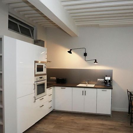 55 M2 Apart With Big Terrace In Annecy Downtown Zewnętrze zdjęcie