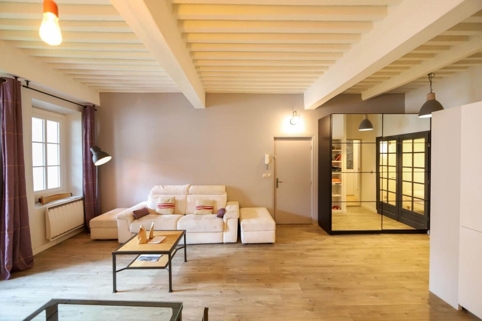 55 M2 Apart With Big Terrace In Annecy Downtown Zewnętrze zdjęcie